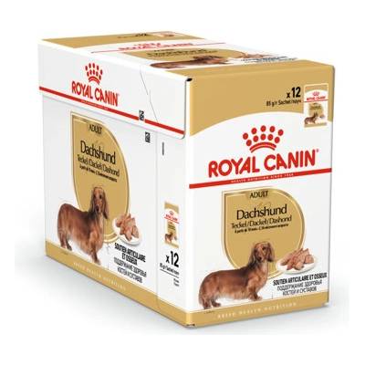 Royal Canin Adult Dachshund 12 x 85 g