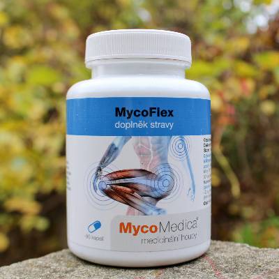MycoMedica MycoFlex 90 kapsúl