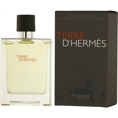Hermès Terre D'Hermès toaletná voda pánska 100 ml