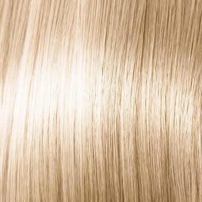 Schwarzkopf Palette Intensive Color Creme C10 l'adovo striebristý blond 100 ml