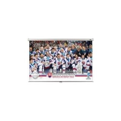 Elite Screens manual 116 x 186cm M86NWX