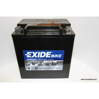Exide AGM12-31