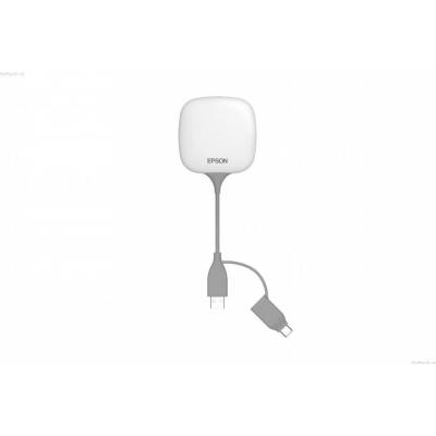 Epson ELPWP10