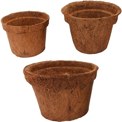 Lucky Reptile Coco Planter veľký
